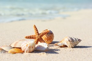 貝殻や砂浜を使った願いをかなえるおまじない