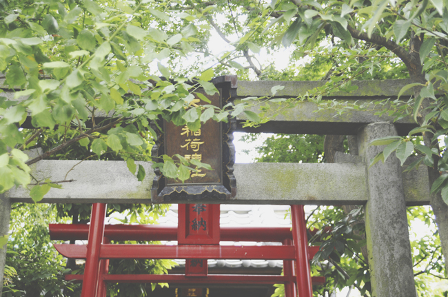 GWに訪れたい恋愛パワースポット【四国編】『大山祇神社』の楠に縁結びパワーをいただこう