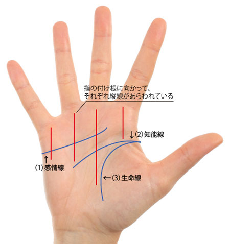 手のひらにあらわれていたら大ラッキー 最強の手相幸運サイン3つ 占いtvニュース