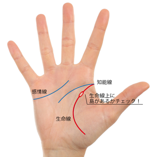 トラブル警報発令中 手のひらにあったらヤバイ 島 が暗示する不運とその対策 占いtvニュース