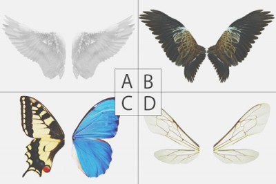 【心理テスト】羽を持てるとしたらどれ？　選んだ羽でわかる目立ちたい願望