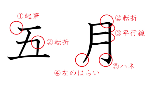 筆跡占い 五月 と書いてわかる5つの性格 書き出しに力が入る人はこだわり屋 占いtvニュース Part 2