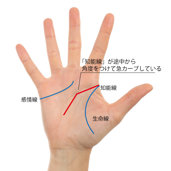 才能手相 知能線が下に急カーブしている人は 趣味を仕事にできる人 占いtvニュース