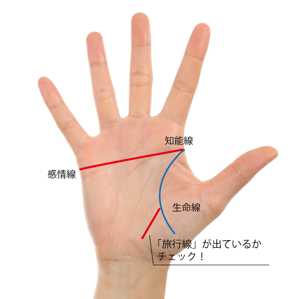 才能手相 知能線と感情線がつながった マスカケ相 の人は 特殊な仕事がオススメ 占いtvニュース