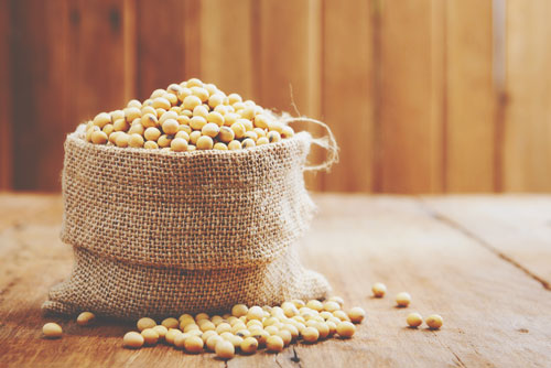 【心理テスト】大豆と聞いて何を連想するかでわかる、あなたの貯蓄意欲