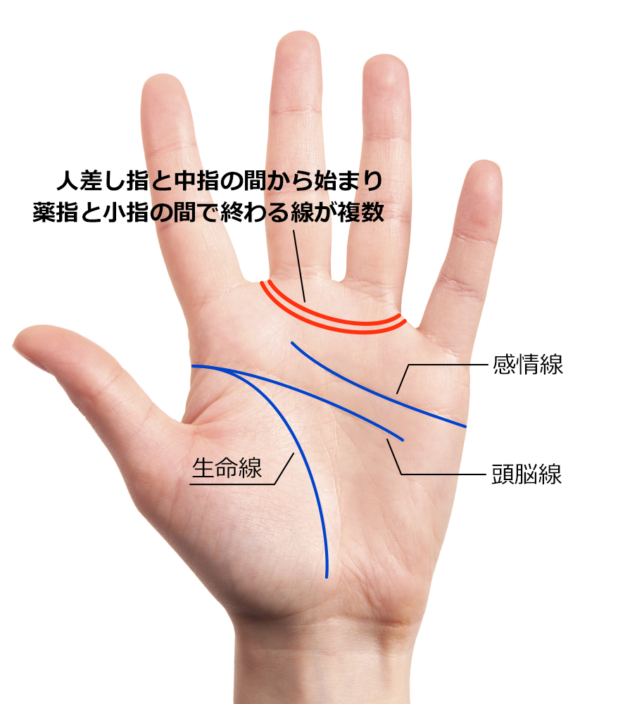 人差し指と中指の間から始まり、薬指と小指の間で終わる線が複数ある