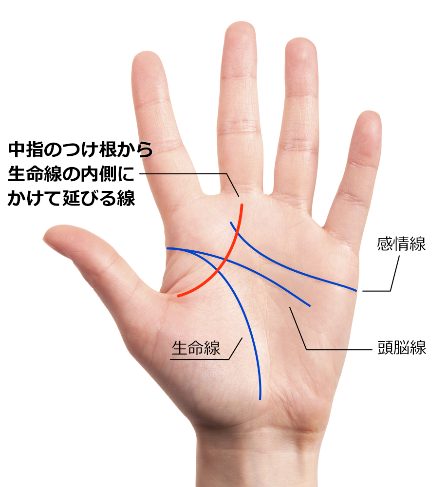 中指のつけ根から生命線の内側にかけて線が延びる手相。