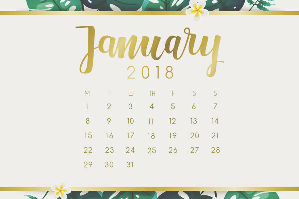 【1月の開運カレンダー】1月8日はパワーが高まる「一粒万倍日」、幸先いいスタートを！