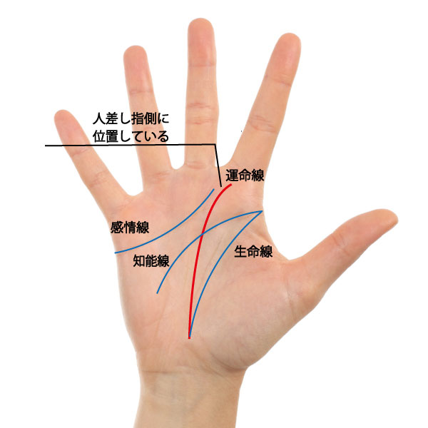 運命線 手にする栄光 終着点が薬指側の人は 人気や愛情を得て成功をするタイプ 占いtvニュース