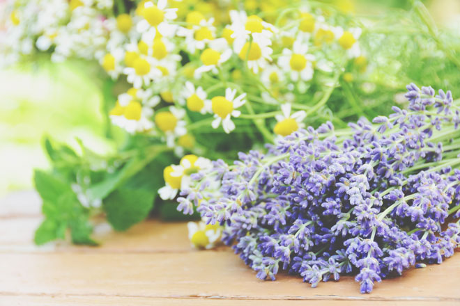 9月の開運壁紙 恋愛運は ハーブの花 金運は 白蛇 の写真で運気