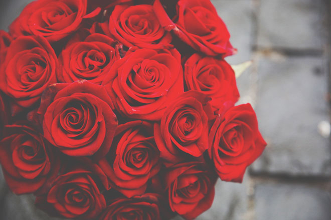 【夢占い】赤いバラは情熱的な恋愛、黄色いバラは嫉妬に注意　バラの夢が暗示すること