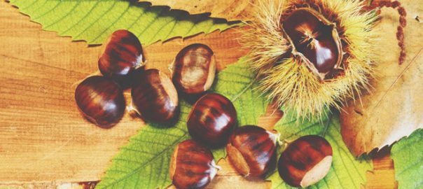 開運壁紙 占いtvニュース