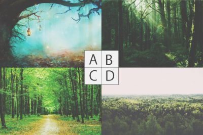 【心理テスト】あなたの「森」のイメージは？　答えでわかる真実の自分の姿