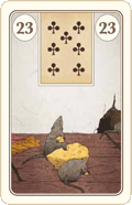 23