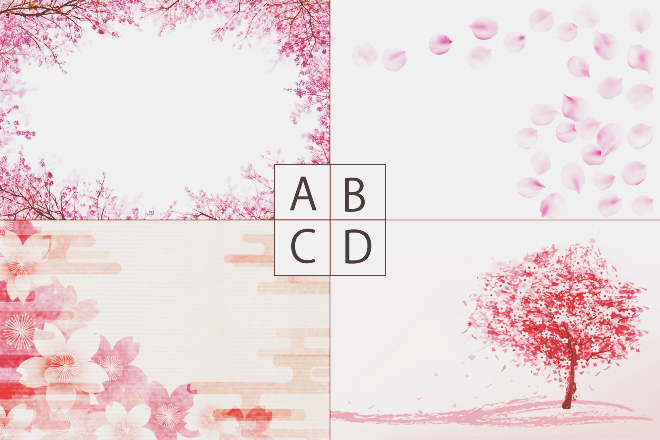 【心理テスト】選んだ桜のカードでわかる、好きな人に求める誠意