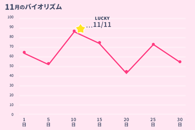 運命数「2」11月のバイオリズム占い