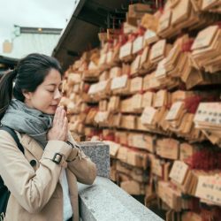 pawasupo_work_01_660_440