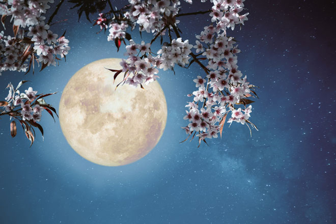 4月17日は天秤座の満月　優柔不断を手放してバランスのいい関係性を手に入れよう！