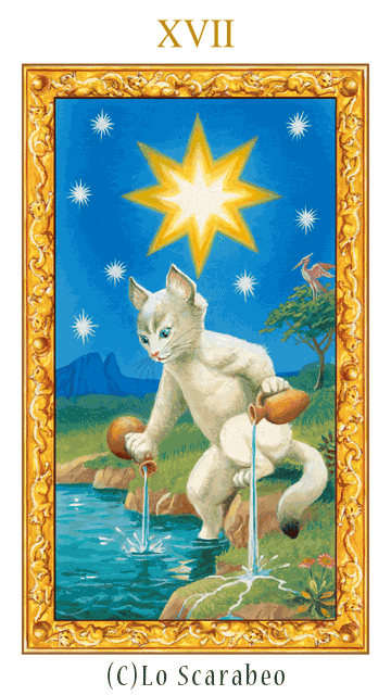 白猫タロット17.星